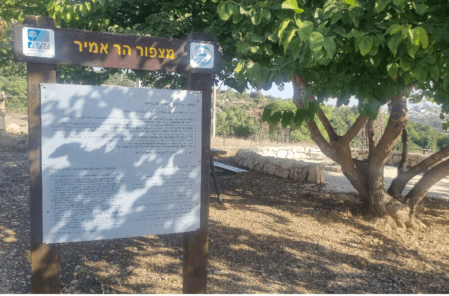 צילום: טליה בקר, קק"ל