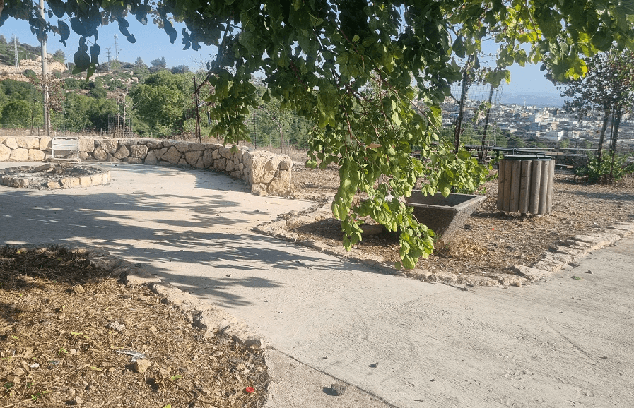 צילום: טליה בקר, קק"ל