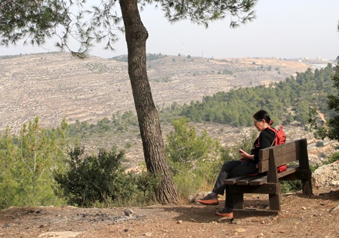 תצפית בית תול. צילום: יעקב שקולניק, ארכיון הצילומים של קקל