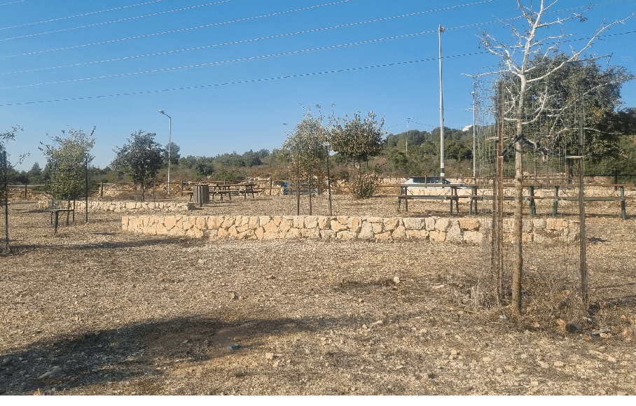 צילום: טליה בקר, קק"ל