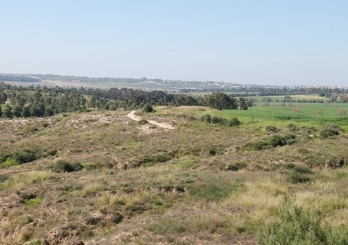 הנוף הנשקף מחניון טל. צילום: דניס צין, קקל