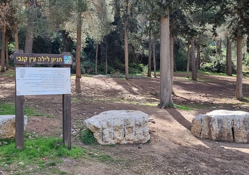 חניון לילה עין קובי, פארק בגין. צילום: עדי טנא