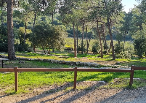 חניון לילה נס הרים, פארק עצמאות ארהב. צילום: יעקב שקולניק, ארכיון הצילומים של קקל