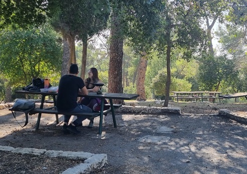 אזור נגיש בחניון. צילום: עדי טנא נתן