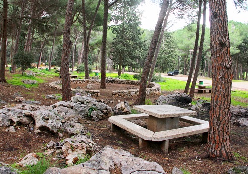 חניון שער הכרמל. צילום: יעקב שקולניק, ארכיון הצילומים של קקל