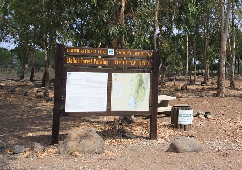 חניון לילה דליות, גולן. צילום: יעקב שקולניק, ארכיון הצילומים של קקל