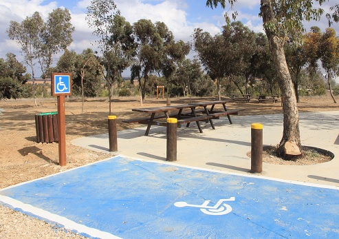 חניון לילה יער ניר משה. צילום: יעקב שקולניק, ארכיון הצילומים של קקל