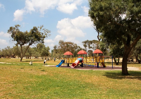 חניון לילה סילברט, פארק אופקים. צילום: יעקב שקולניק, ארכיון הצילומים של קקל