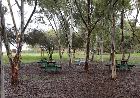 חניון הבאר ביער שוקדה. צילום: יעקב שקולניק, ארכיון הצילומים של קקל