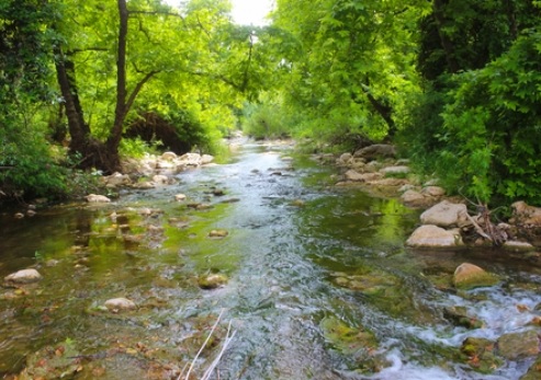 צילום: ארכיון הצילומים של קקל