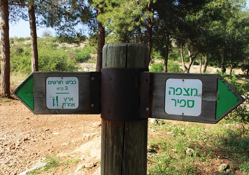 שילוט הכוונה ביער