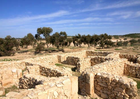 שרידי חווה ביזנטית ביער רמות. צילום: יעקב שקולניק, ארכיון הצילומים של קקל