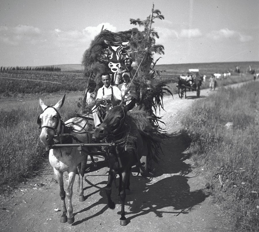 1951, קיבוץ אבן יצחק. תהלוכת שבועות בעגלות רתומות לסוסים. צילום: יעקב רוזנר, ארכיון הצילומים של קק"ל