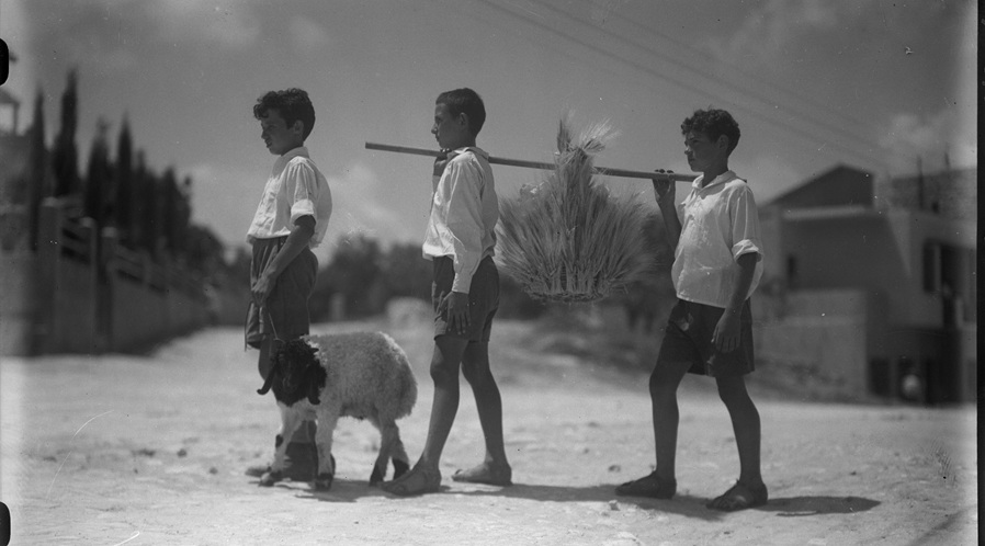 1932, הבאת ביכורים בחיפה. צילום: יוסף שוויג, ארכיון הצילומים של קק"ל