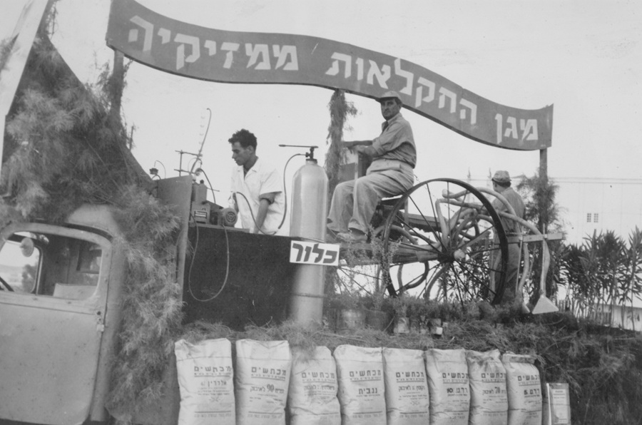 1954. ביכורי חברת "מכתשים" מוצגים לראווה בבאר שבע. צילום: אברהם מלבסקי, ארכיון הצילומים של קק"ל
