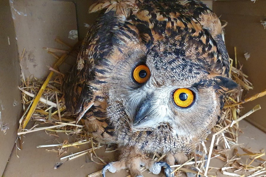 צולם: עינבר שלומית רובין, ארכיון הצילומים של קק"ל