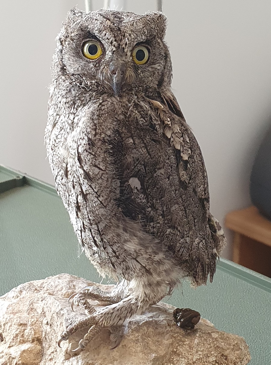 צילום: עינבר שלומית רובין, ארכיון הצילומים של קק"ל 