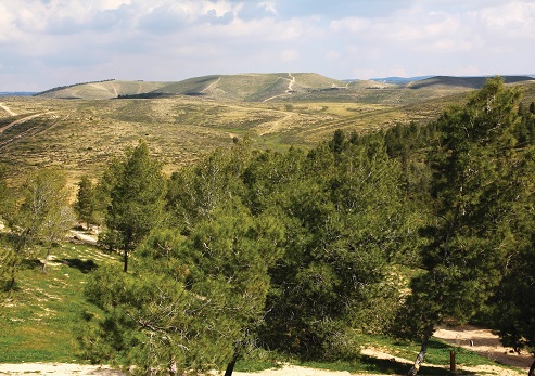 מבט ממצפה נעם על הר חירן