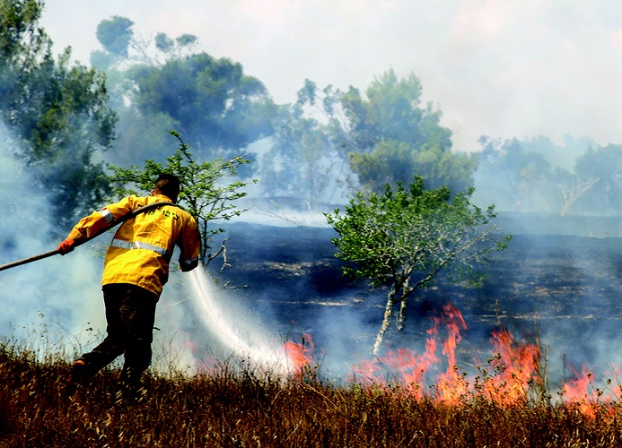 והיה כי תצא אש. צילום: יהודה פרץ, ארכיון הצילומים של קקל, 2018