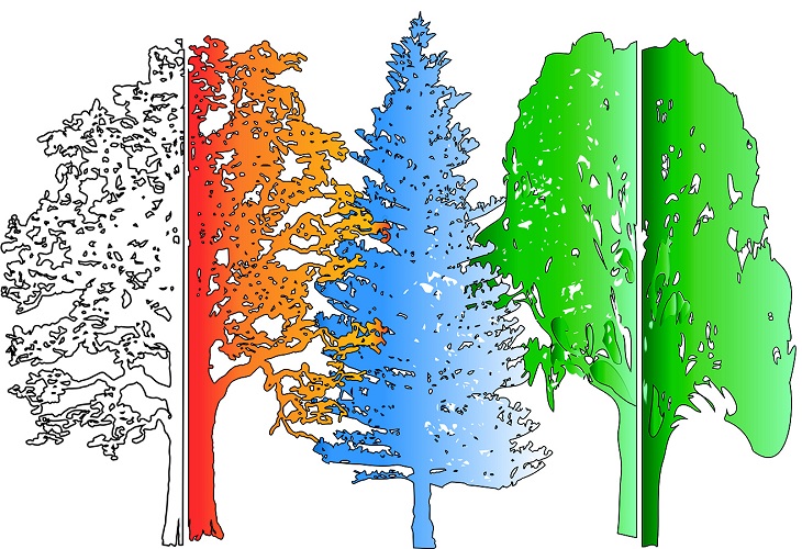 אקלים, 2021. ענת נגב, אומנית ומעצבת
