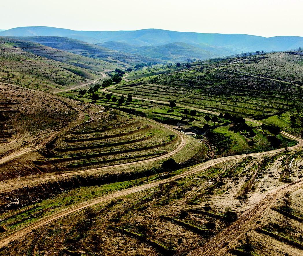 מאבק במדבור. צילום: דובי טל, אלבטרוס, 2014