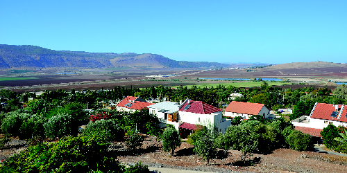 העמק הוא חלום (שהתגשם). בית השיטה 2021 - צילום: צור אדר, ארכיון הצילומים של קקל