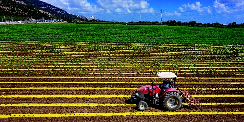 הכשרת קרקע להתיישבות. צילום: בוני שיינמן, ארכיון הצילומים של קקל, 2020
