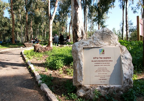 החניון הדרומי. צילום: יעקב שקולניק, ארכיון הצילומים של קקל