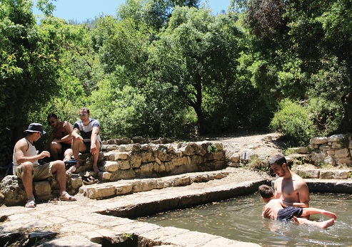 עין טייסים ביער סטף. צילום: ארכיון הצילומים של קקל