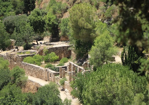 שביל השומרות. צילום: בלה נודלמן, קק"ל