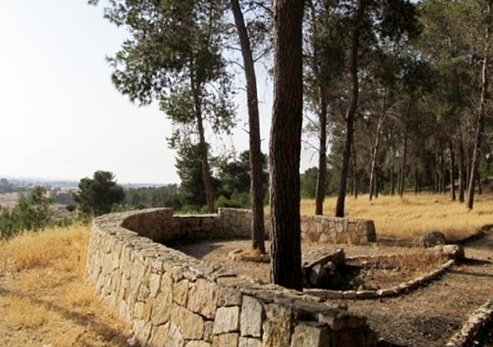 צילום: רונן הלמן, קקל