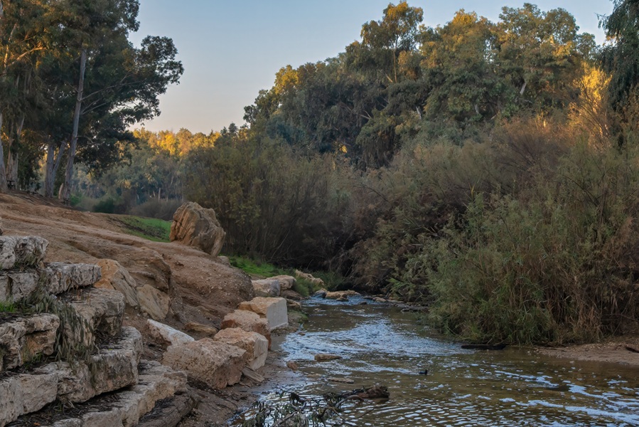 צילום: בוני שיינמן, קק"ל
