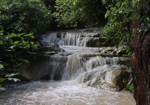 נחל השופט. צילום: אלכס קולומוסקי, ארכיון הצילומים של קקל