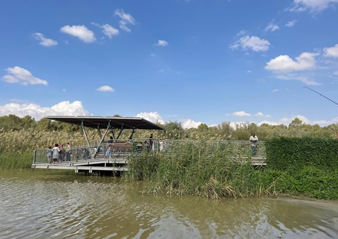 פארק יצחק נבון ירוחם. צילום: אורנית גינת, קק״ל