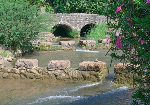 פארק הירדן. צילום: מיכאל חורי, ארכיון הצילומים של קק״ל