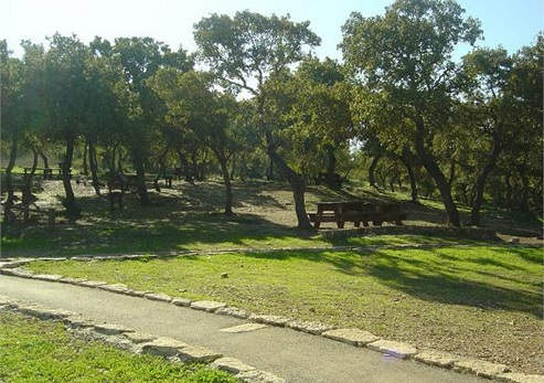 חניון הסוללים. צילום: ארכיון צילומי קקל