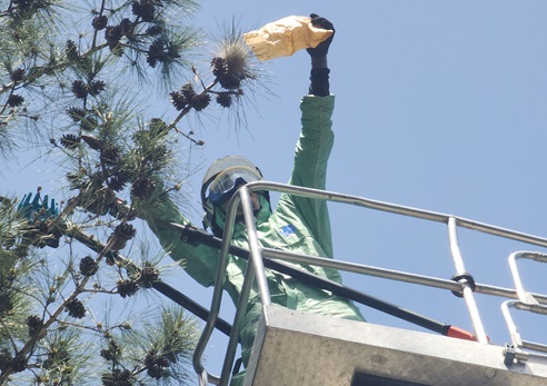 צילום: עומר גולן, קקל