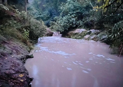 בריכת הצבים, יער הזורע. צילום: נועה טל, קק