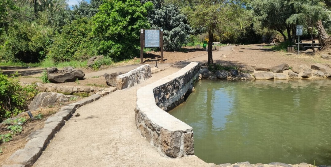 שביל האופניים בפארק הירדן