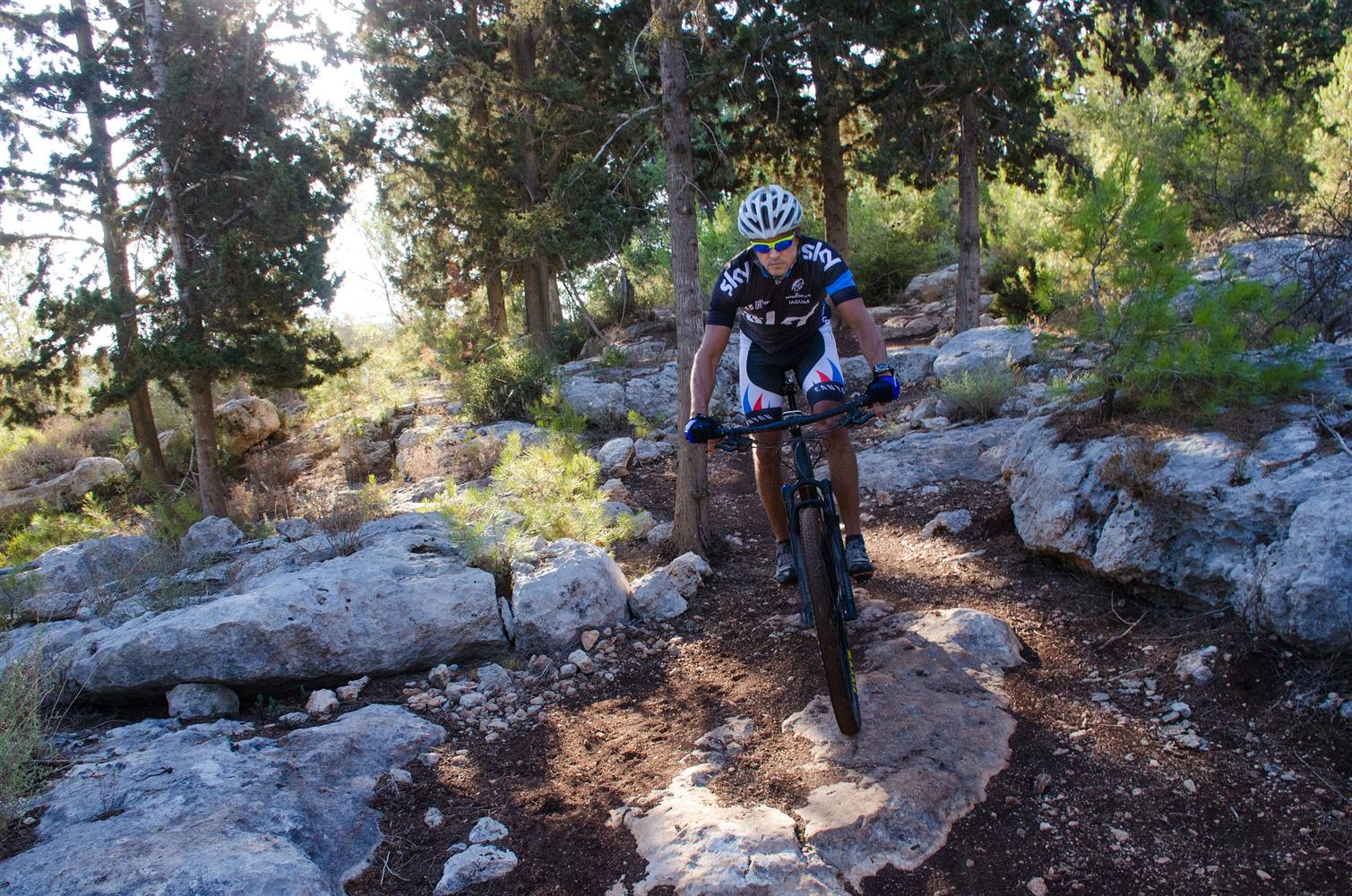 סינגל יער אחיהוד