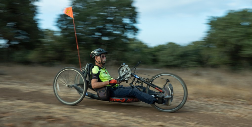 סינגל גבעת חציר.