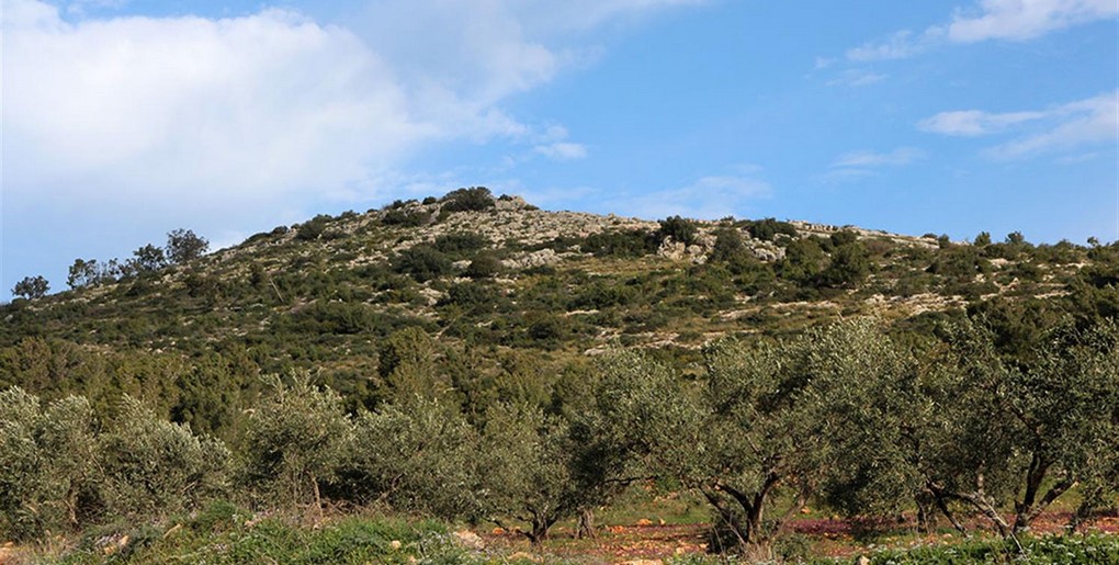 יער אחיהוד: טיול להר גמל ולמערת יונים