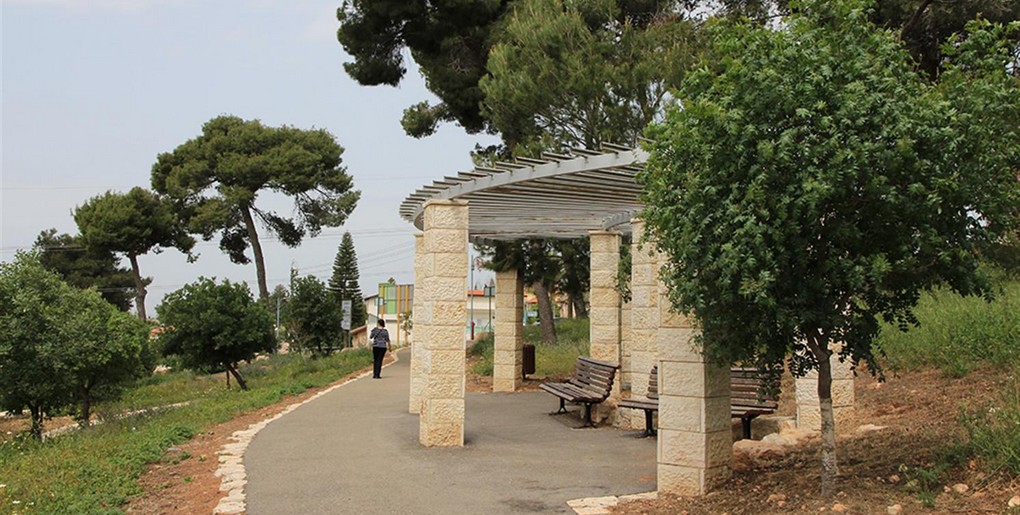 יער קהילתי מגדל העמק