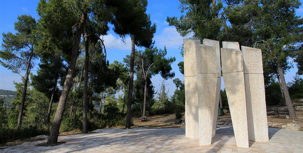 משואבה לשמורת המסרק ברכב פרטי