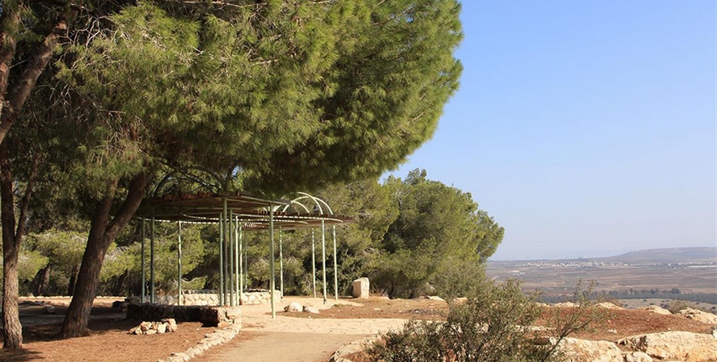 טיול ברכב פרטי: דרך נוף יער בית קשת