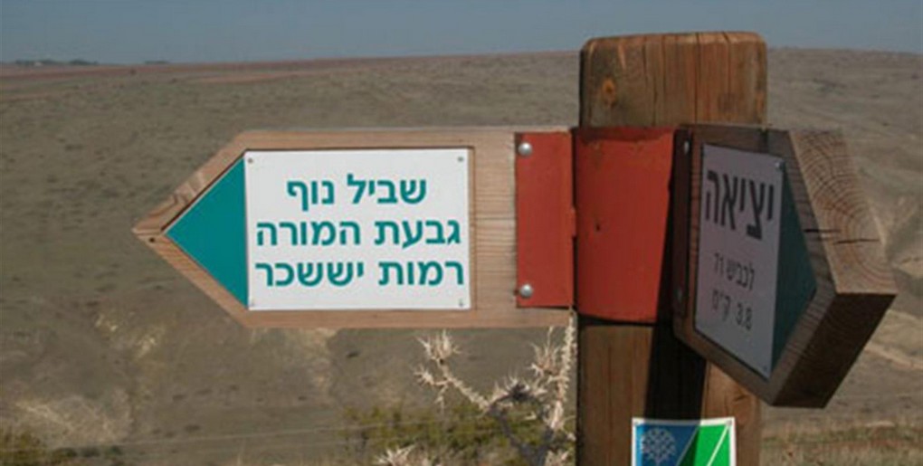 טיול ברכב פרטי: דרך נוף שלוחת צבאים