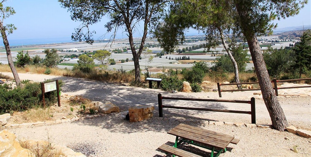 מצפור עידו כהן ביער חוף הכרמל