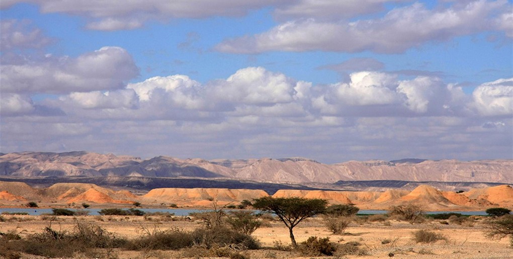 ערבה תיכונה: טיול בנחל גדרון