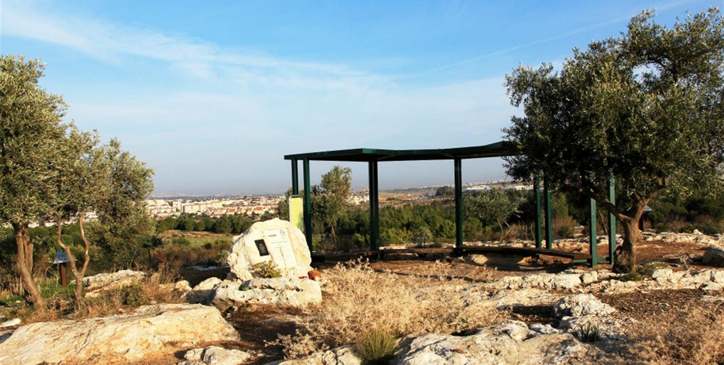 טיול ביער קהילתי שוהם