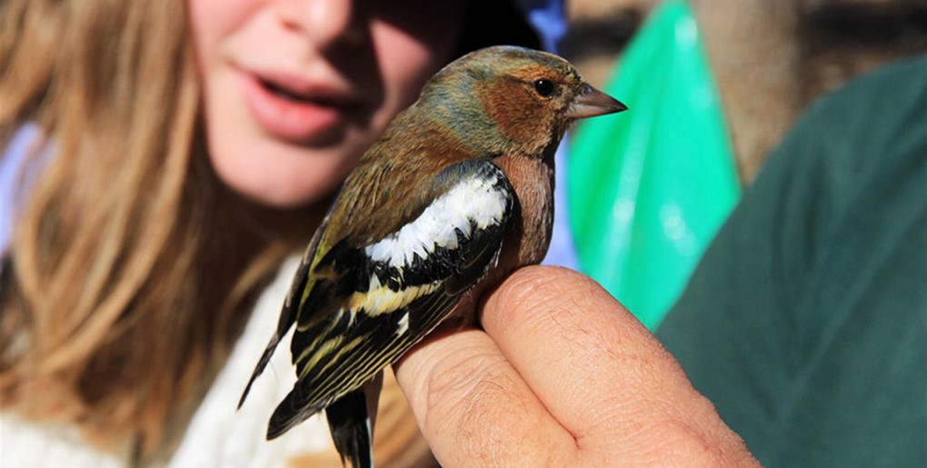 יער להב: טיול לאתר כנפי קק"ל בעין רימון